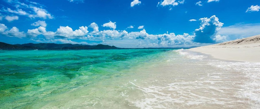 夏岛悬疑
